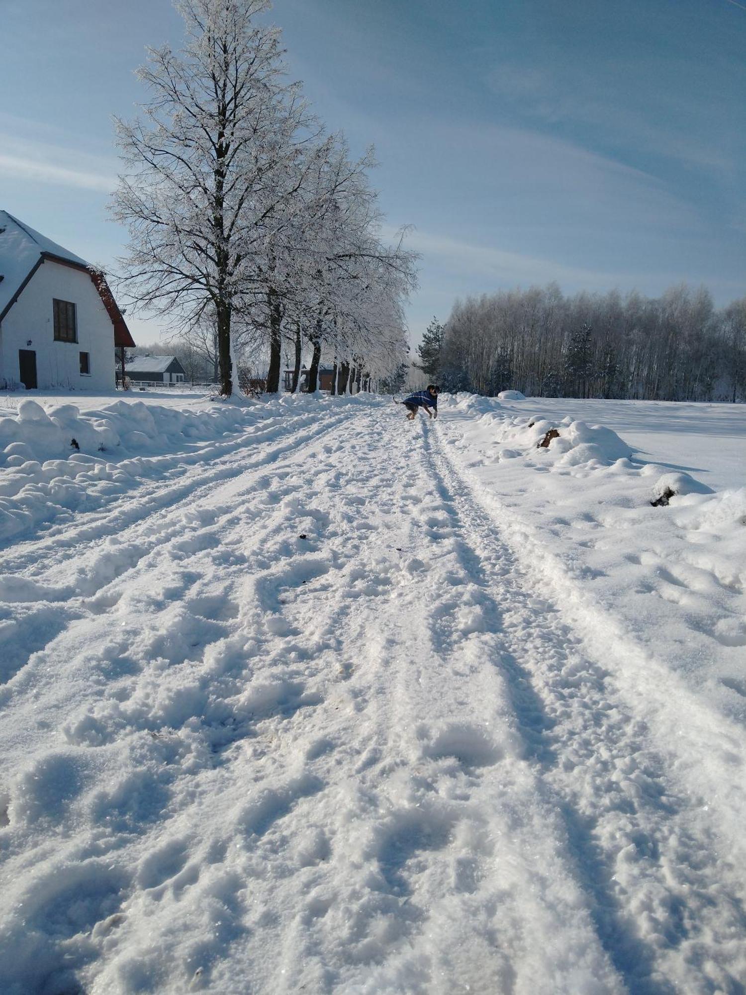 Domek Przy Stajni Bogdanowka Caloroczny Rossosz Экстерьер фото